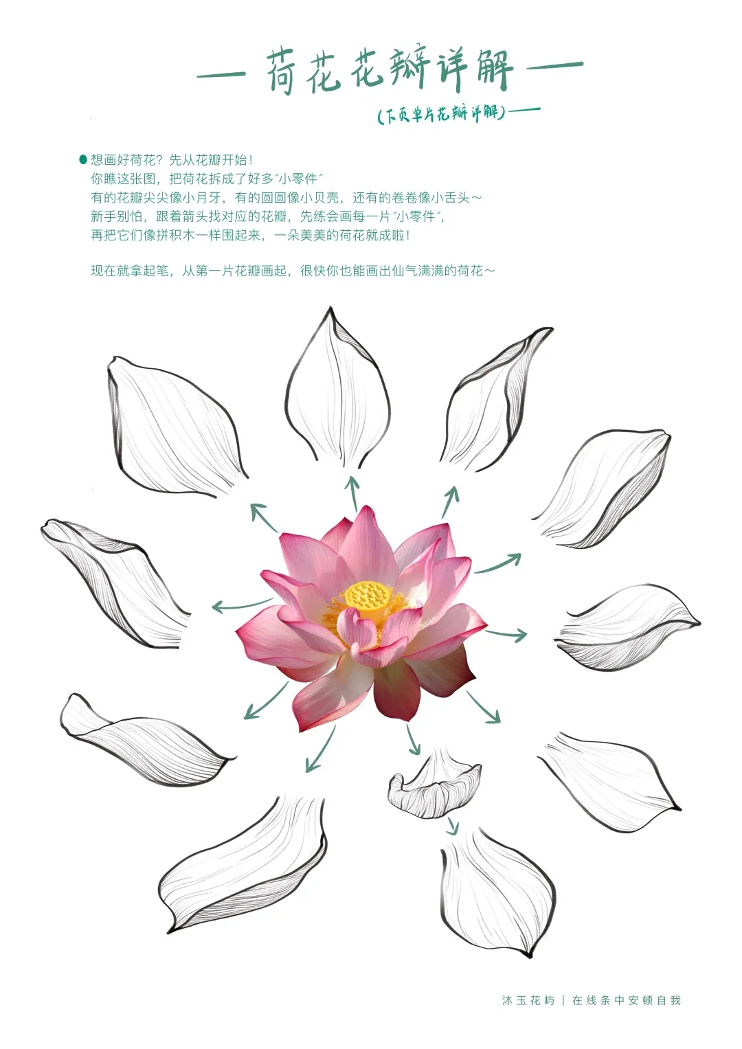 颐莲莲脉品牌视觉