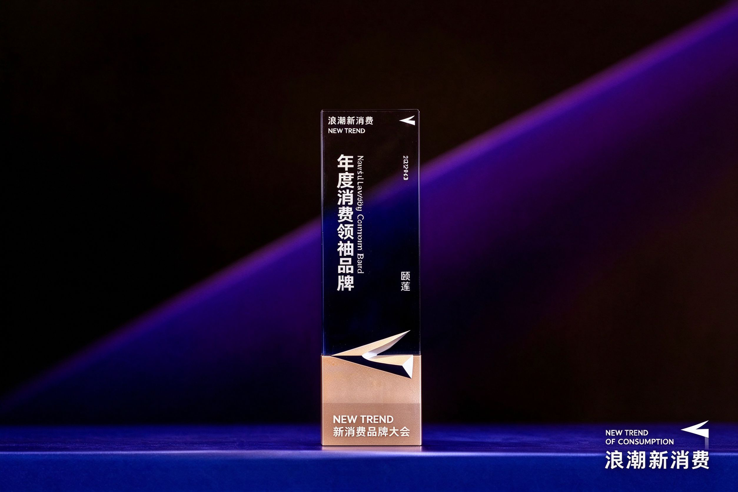 2024年度消费领航品牌 封面图